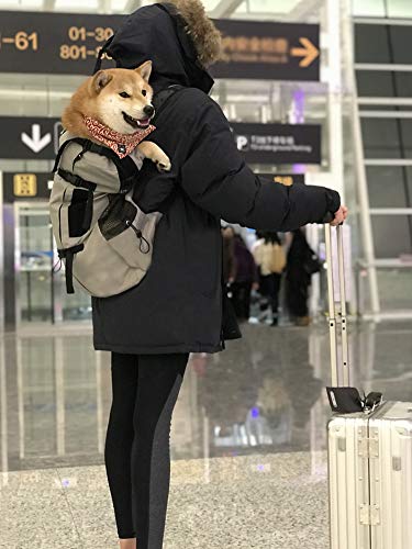 OMEM - Mochila transportadora para mascotas, con tiras reflectantes y silbato para salvar vidas al aire libre