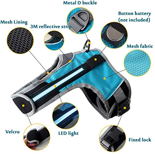 OMKMNOE Arnés De Perro con LED, Barra De Luz Reflectante Sin Tren para Migraciones Nocturnas Platos Iluminados Cómodo Pecho De Pecho Control Simple,Azul,M