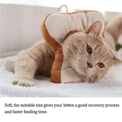 Oncpcare Recovery Cat Cono Toast Cat Ecollar, Cachorro Anillos Acolchados Perro Ecollar Perro Perro Cuello Cono para Sanar Más Rápido