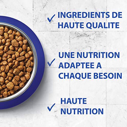 One - Alimento para Gato - Seco - Purina Junior Rico En Pollo Y Con Cereales Integrales 450 g