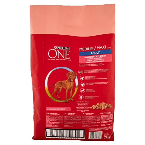 One - Pienso Medio/Maxi > 10 kg Adulto Rico en Buey para Perro 7 kg