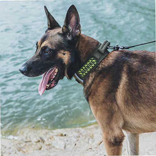 OneTigris Collar de Perro Ajustable Suave para Perros (Ranger Verde, M)