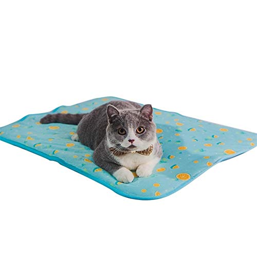 Openg Manta Fria para Perros Colchon Refrigerante para Perros Perro de formación Mascota de Mat De Perro Pet Mat Genial Cama del Perro Blue,S