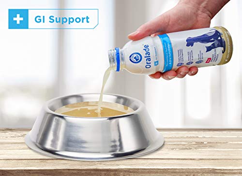 Oralade GI Support - 1 bote de 500 ml