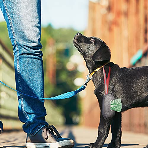 Ordate Bolsas para excremento de perro, Bolsas para desechos de perro con dispensador, Verde, 40 rollos/1400 bolsas