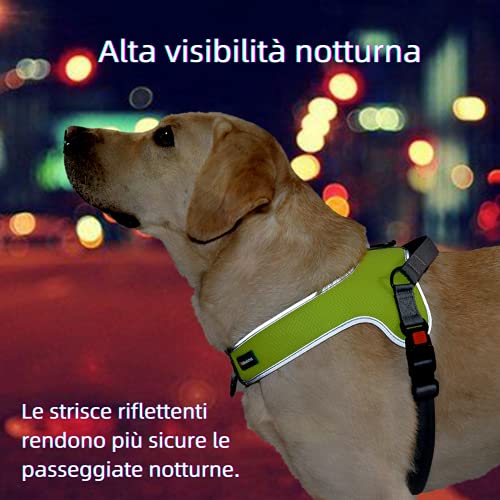 OrionisPet Arnés para Perros pequeño y Mediano Arnés para Perros Grande Transpirable Reflectante cómodo Suave Ajustable fácil de Usar Arnés para Perros (Verde, M)