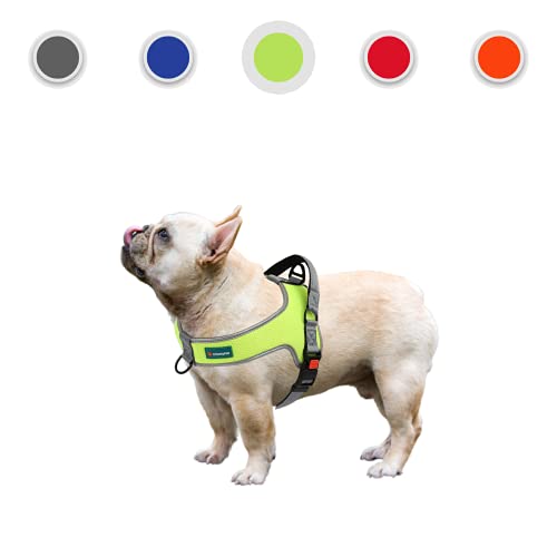 OrionisPet Arnés para Perros pequeño y Mediano Arnés para Perros Grande Transpirable Reflectante cómodo Suave Ajustable fácil de Usar Arnés para Perros (Verde, M)