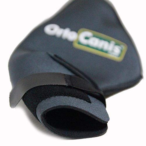 Ortocanis Protector de Rodilla para Perros Original - Lesiones de ligamentos Cruzados, luxación de rótula, artrosis - Talla XS (Derecha)