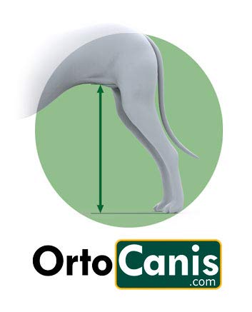 Ortocanis Silla de Ruedas para Perros Entre 4 y 11kg