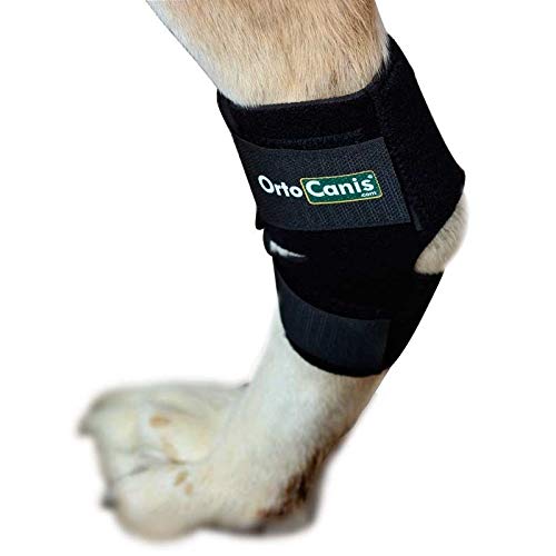 Ortocanis - Soporte de Tarso para Perros - para artrosis en Tarso, lesión de ligamentos o inflamaciones articulares tendinosas - Talla L