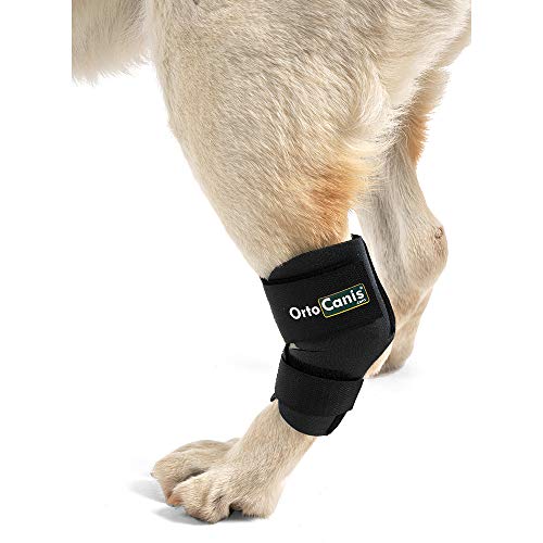 Ortocanis - Soporte de Tarso para Perros - para artrosis en Tarso, lesión de ligamentos o inflamaciones articulares tendinosas - Talla L