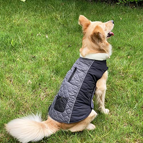 Oslueidy Abrigo de Invierno para Perros, Chaqueta cálida para Perros, Chaleco a Prueba de Viento, Traje de Nieve para Mascotas para Perros pequeños medianos y Grandes (M, Gris Oscuro)