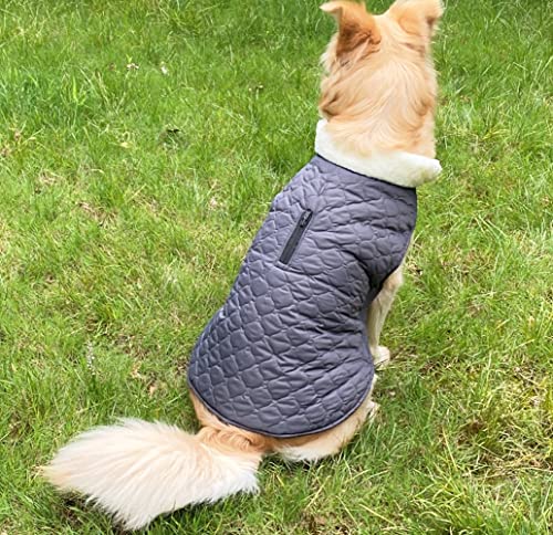 Oslueidy Abrigo de Invierno para Perros, Chaqueta cálida para Perros, Chaleco a Prueba de Viento, Traje de Nieve para Mascotas para Perros pequeños medianos y Grandes (M, Gris Oscuro)