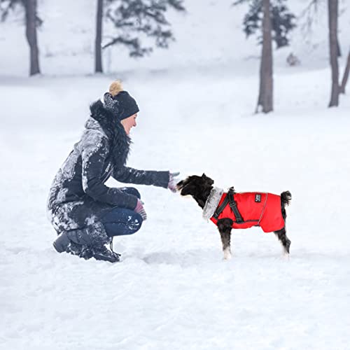 Oslueidy Abrigo de Perro Caliente,Chaqueta de Invierno Mascota Ropa de Perros pequeños Reflectantes Chaleco de Cachorro a Prueba de Viento Perro Snowsuit con arnés para pequeños Perros Grandes