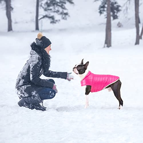 Oslueidy Abrigo de Perro Reversible,Chaqueta de Invierno para Perros Chaleco de Cachorro Caliente Ropa Impermeable para Mascotas Snowsuit de Perros para pequeños Perros Grandes