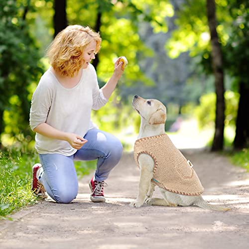 Oslueidy Abrigo para Perros,Chaleco de Invierno para Perros Ropa cálida para Mascotas Disfraz de Navidad para Cachorros con patrón Lindo Ropa para Perros pequeños medianos Chihuahua Peluche