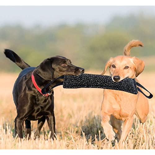 Oukerde Mordedor de Entrenamiento Palo de mordida de Tela Resistente al desgarro para Perros,mordedura de Diao,Palo de mordedura de Perro Molar,Suministros de Entrenamiento para Perros (Negro)