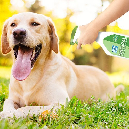 OUT! Champú y acondicionador Natural Pest Wash para perros, 500 ml