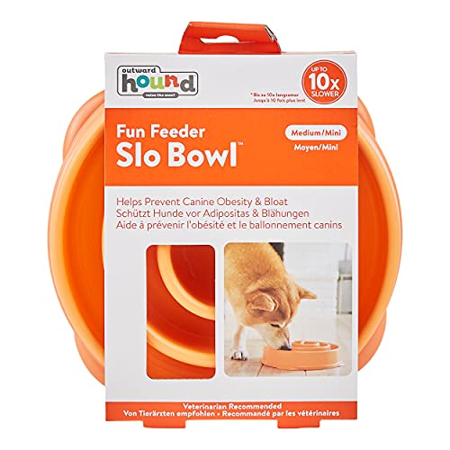 Outward Hound Fun Feeder Slo-Bowl - Comedero con obstáculos para perros - Naranja - Mediano/mini