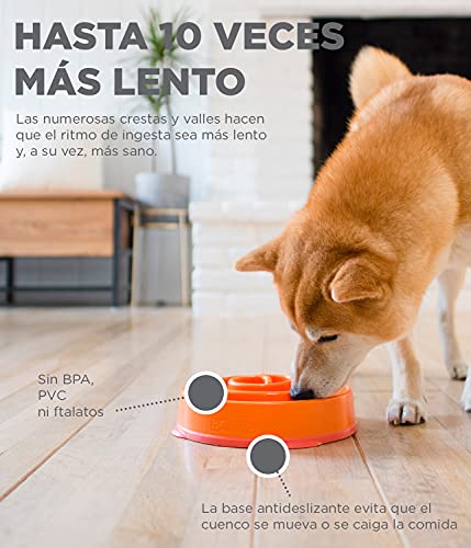 Outward Hound Fun Feeder Slo-Bowl - Comedero con obstáculos para perros - Naranja - Mediano/mini