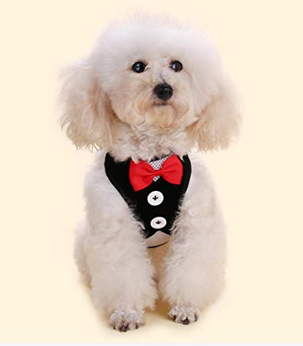 Oyccen Perro Gato Arnés Ajustable con Correa Chaleco de Malla Respirante Cachorros Bowknot Traje de Boda Ropa para Mascota Pequeño