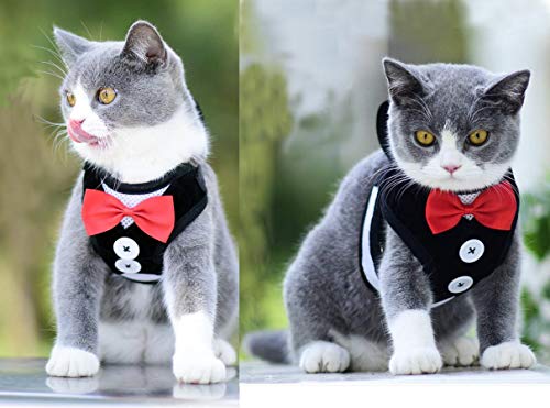 Oyccen Perro Gato Arnés Ajustable con Correa Chaleco de Malla Respirante Cachorros Bowknot Traje de Boda Ropa para Mascota Pequeño