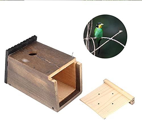 Pájaro de Madera Casa Colgante Pájaro Caja de anidación Woody Poderpecker Hood Woodland Cabina Lugar de Descanso para pájaros Decoración al Aire Libre (Size : 12x12x23.5cm)