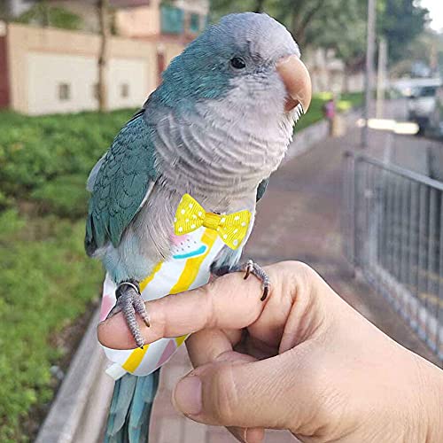 Pájaro Pájaro Pañal Loro Traje De Vuelo Reutilizable Heces Bolsillo Pañuelo Ganso Ropa De Ganso para Loros Palomas Cockatiel Sandía S