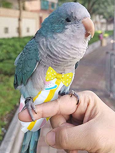 Pájaro Pájaro Pañal Loro Traje De Vuelo Reutilizable Heces Bolsillo Pañuelo Ganso Ropa De Ganso para Loros Palomas Cockatiel Sandía S