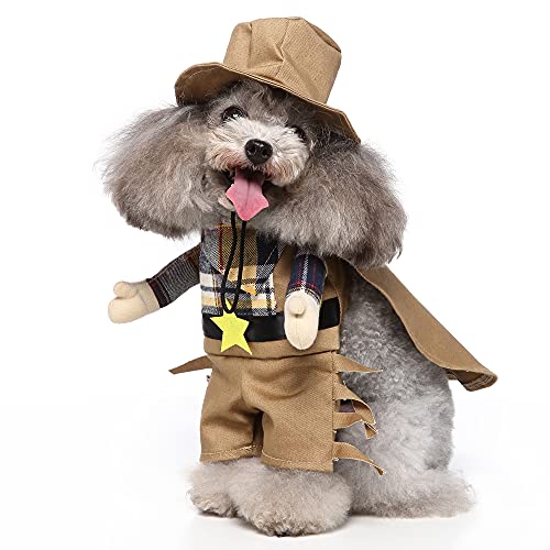 PAPIEEED Disfraz de vaquero para perro, gato, novedad, ropa de cosplay para Halloween, Navidad, cumpleaños, fiesta, accesorios para fotos