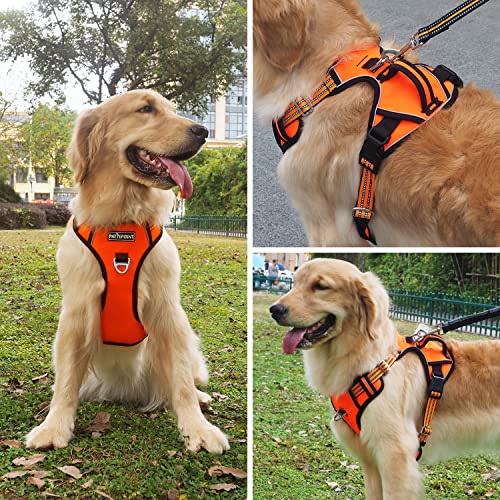 Pattepoint Arnés para Perros para Entrenamiento para Caminar, Chaleco Ajustable para Mascotas con Asa, Arnés para Perros a Prueba de Escape para Perros Medianos y Grandes Naranja - L