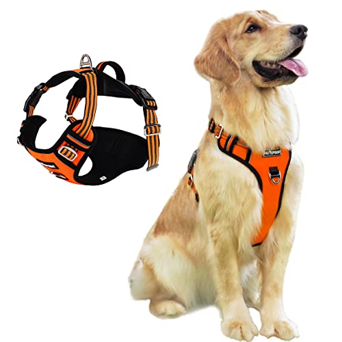 Pattepoint Arnés para Perros para Entrenamiento para Caminar, Chaleco Ajustable para Mascotas con Asa, Arnés para Perros a Prueba de Escape para Perros Medianos y Grandes Naranja - L