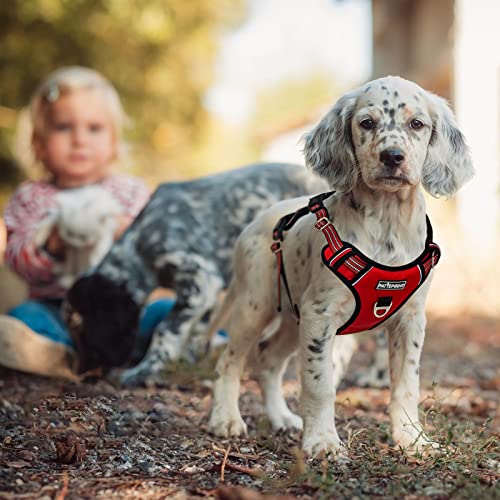 Pattepoint Arnés Perros para Caminar, Easy Walk Arnes Perro, Chaleco Ajustable para Mascotas con Asa, Arnes Perro antitirones para Perros Medianos Rojo - S