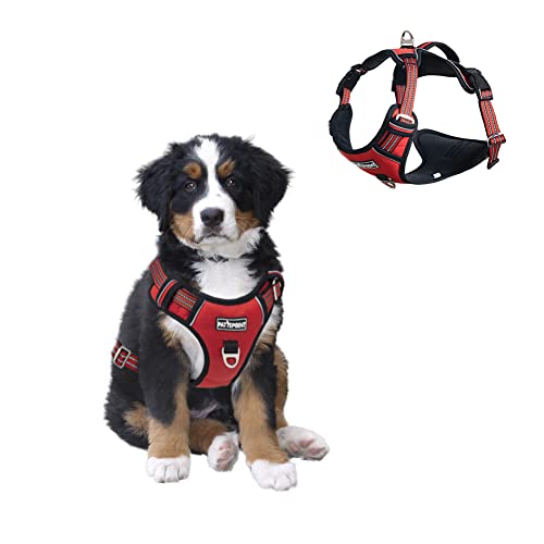 Pattepoint Arnés Perros para Caminar, Easy Walk Arnes Perro, Chaleco Ajustable para Mascotas con Asa, Arnes Perro antitirones para Perros Medianos Rojo - S