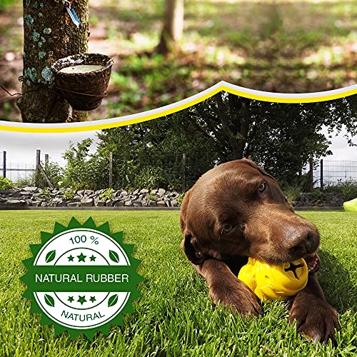 PAW Bear - juguete masticable para perros, juguetes para perros, dispensador de comida para el cuidado dental fabricado con caucho natural no tóxico y resistente a las mordeduras (caucho natural)