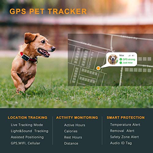 Pawfit 2 perseguidor GPS para perros y monitor de actividad incluido tarjeta SIM integrada, dispositivo de seguimiento GPS para mascotas con IP68 impermeable