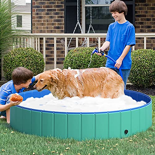 Pawhut Piscina Plegable para Perros Bañera para Mascotas Gatos de PVC Antideslizante Resistente al Desgaste Adecuado para Interior y Exterior Ø160x30cm Turquesa