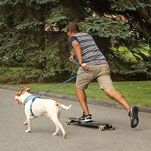 Pawtitas Correa de Entrenamiento para Perros Plomo de Cuerda Duradera para Perros Cuerda adiestramiento Correr y Caminatas - Naranja