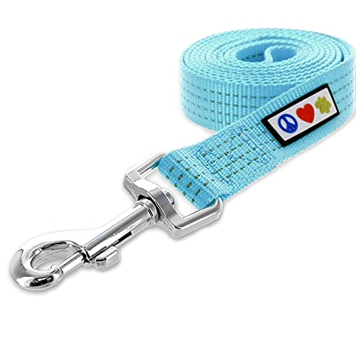 Pawtitas Correa para Perro y Cachorro Reflectante | Correas para Perros Ideal para Adiestramiento y Entrenamiento Talla Mediano / Grande 1,8 Metros - Correa Perro Color Turquesa