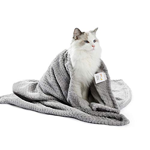 PAWZ Road Manta para Perros, Manta para Gatos, cómoda Alfombra, Gris, Alfombra para Perros, Alfombra para Gatos, Suave, Cama para Perros, Cama para Gatos, Lavable, cálida S/M/L