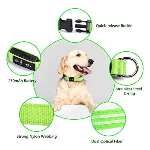 PcEoTllar Collar Luminoso para Perros Recargable LED Collar para Perros 3 Modos de Iluminación Impermeable Ajustable Súper Brillante para Perros Pequeños Medianos Grandes Caminata Nocturna - Verde S