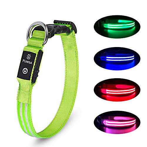 PcEoTllar Collar Luminoso para Perros Recargable LED Collar para Perros 3 Modos de Iluminación Impermeable Ajustable Súper Brillante para Perros Pequeños Medianos Grandes Caminata Nocturna - Verde S