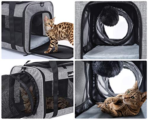 Pecute Transportin Gato Perro Bolsa de Transporte Portátil y Transpirable para Mascotas, Bolso Transportin para Gatos Plegable con Juguete Túnel con Correa de Hombro Ajustable, Aerolínea Aprobada