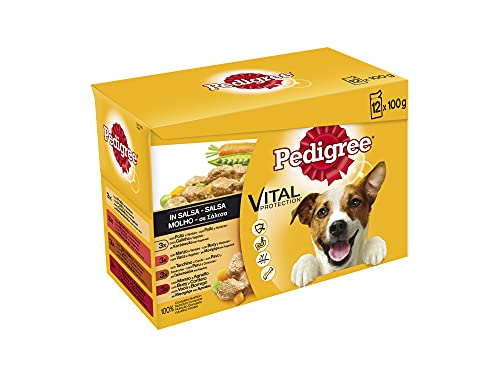 Pedigree Comida húmeda para Perros sabores Mixtos en Salsa, Multipack + Vital Protection – Comida para Perros en Bolsa, Salsa de Pollo, Ternera, Ave y Cordero, 40 x 100 g, Paquete Grande