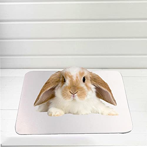 pegtopone Cojín de enfriamiento para conejo, cojín de refrigeración para Hamster Cama de refrigeración duradera resistente a las mordeduras para animales de compañía