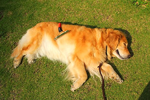 Peine para mascotas extra grande, cepillo de aseo para perros grandes, peine de belleza para perros grandes, Golden Retriever Husky Pastor alemán