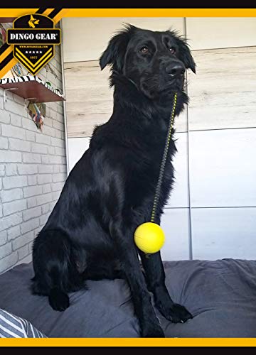 Pelota de entrenamiento Dingo Gear # 70 mm sobre cuerda de 30 cm, pelota de goma suave, color amarillo, apport juego con perro S02703