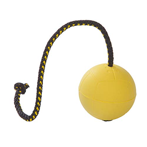 Pelota de entrenamiento Dingo Gear # 70 mm sobre cuerda de 30 cm, pelota de goma suave, color amarillo, apport juego con perro S02703