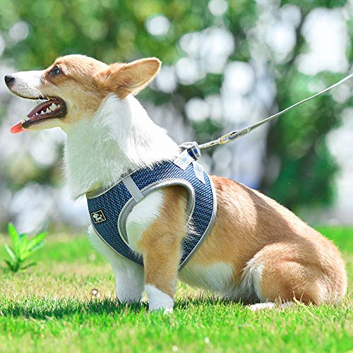 Penivo Chaleco de arnés para perro pequeño, malla transpirable, arnés y correa reflectante para perros pequeños, medianos y pequeños, correa para el pecho, correa para caminar (M,35-39 cm, rosa)