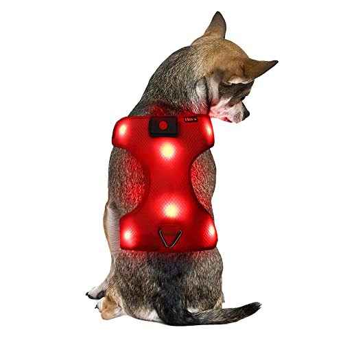 Pequeña Rojo Arnés Perros LED USB Recargable Ajustable Arnes Reflectante Arnes Anti Tirones para Perros Accesorios Chaleco Reflectante Visibilidad Seguridad Iluminada Arnes Perro Acolchado